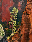 Utah & Arizona Canyon Country portfolio