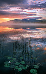 New Hampshire Mountains - Streams - Lakes - & Rivers portfolio