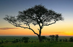 Sarengeti & Ngorongoro Crater portfolio